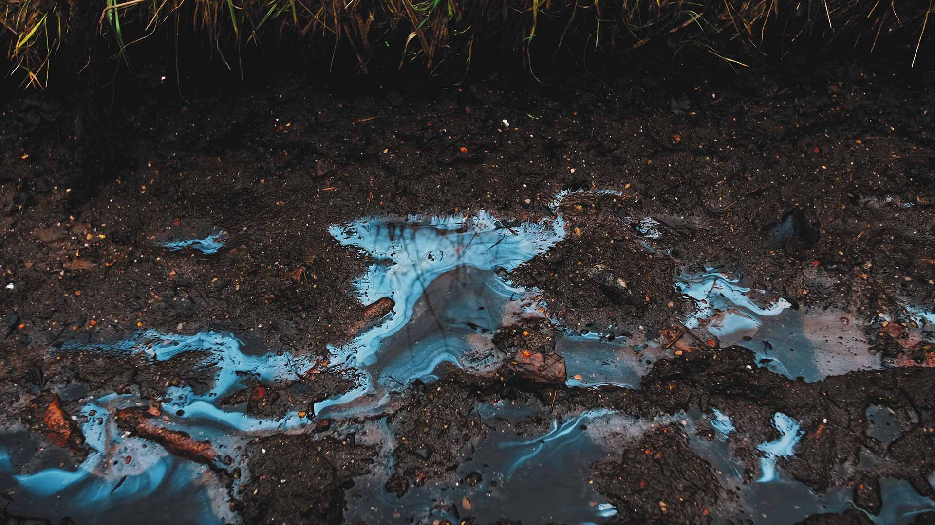 Benne scellée à louer, 20 verges pour matériaux contaminés